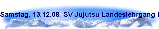 Samstag, 13.12.08. SV Jujutsu Landeslehrgang in der TH Kopernikus-Str. Thema: Waffenabwehrtechniken.