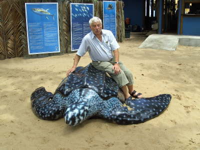 Freitag, 21.09.07. Praia do Forte Strand. 100 km n�rdlich von Salvador